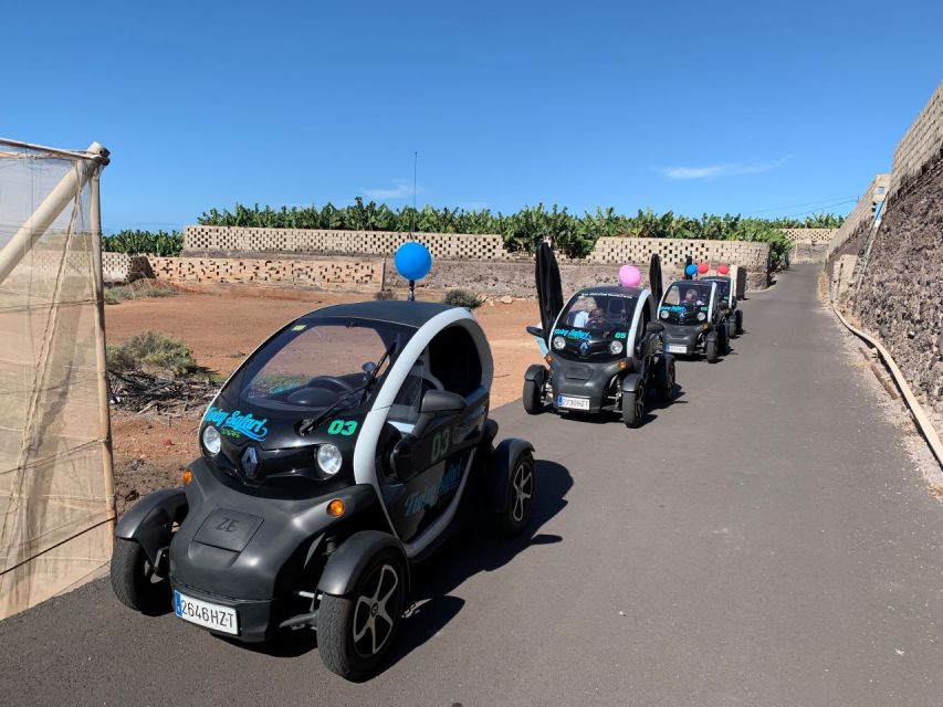 Tenerife: Private Renault Twizy Tour - Chinyero lava fields: fast driving, big geology vibes