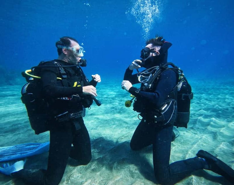 Tenerife: Private Scuba Diving–Certified Instructor & Photos - Key highlights worth planning around