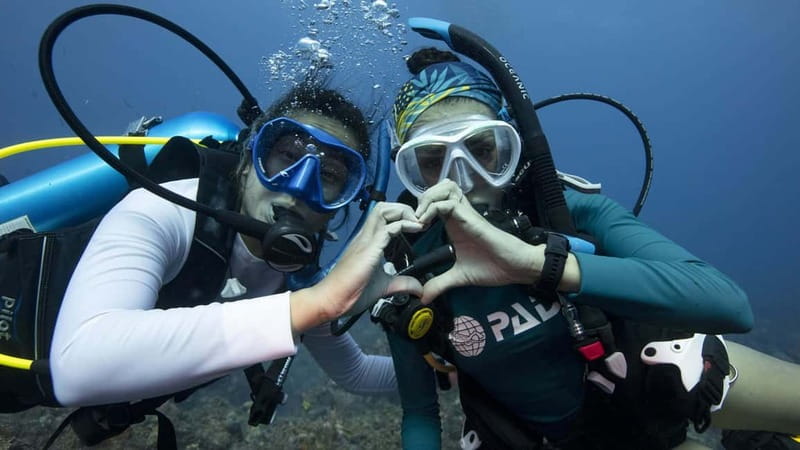 Tenerife: Private Scuba Diving–Certified Instructor & Photos - The van ride and what happens before you hit the water