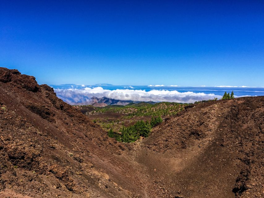 Tenerife Private Tour: Full-Day Volcanic South - Key things I’d plan around