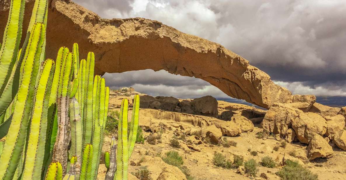 Tenerife Private Tour: Full-Day Volcanic South - South Tenerife Volcanoes, Without the Crowds