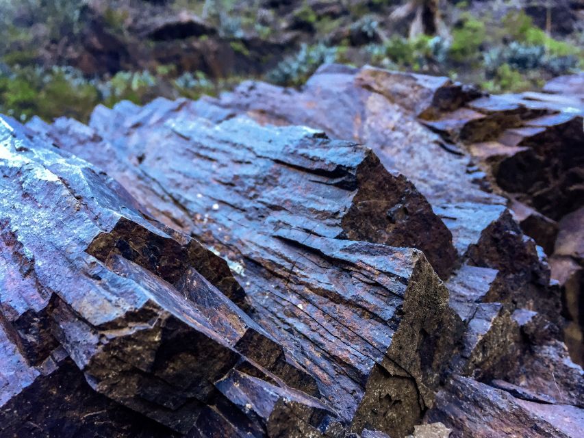 Tenerife Private Tour: Full-Day Volcanic South - A Quick Off-Route Stop Before El Médano