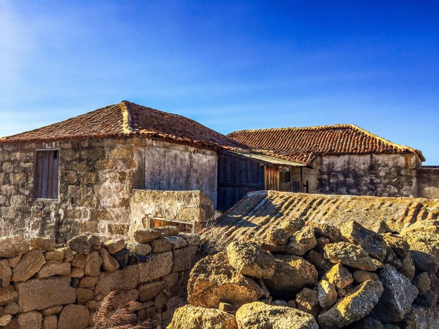 Tenerife Private Tour: Full-Day Volcanic South - Arona Panoramas: 90+ Volcanic Formations and Endemic Plants
