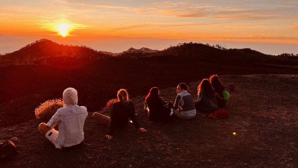 Tenerife: Private VIP Tour Teide National Park - Corona Forestal Nature Park and Pino Gordo: the forest stop that makes sense