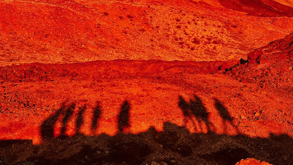 Tenerife: Private VIP Tour Teide National Park - The best views on the way back: sea scenes, lava edges, and Chinyero