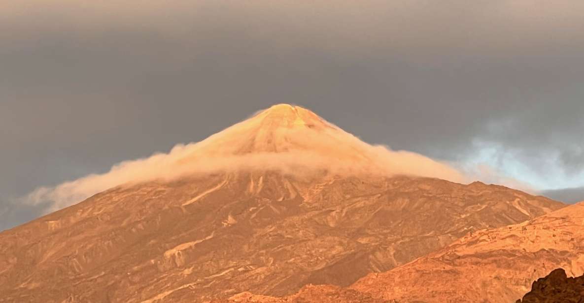 Tenerife: Private VIP Tour Teide National Park - The climb from Vilaflor de Chasna: vegetation changes you can actually see