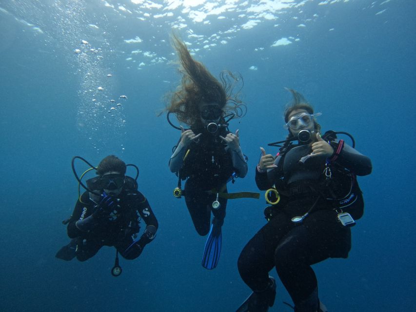 Tenerife: Puerto Colon Certified Scuba Dive by Speed Boat - Meeting Zero Gravity Tenerife in Puerto Colón (and what to bring)