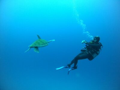 Tenerife: Puerto Colon Certified Scuba Dive by Speed Boat - Gear fitting: wetsuit, BCD, regulator, and a real equipment check