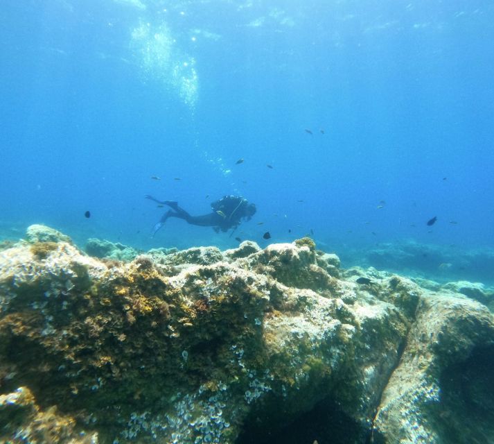 Tenerife: Puerto Colon Certified Scuba Dive by Speed Boat - Underwater time: what “up to 2 hours total” really means
