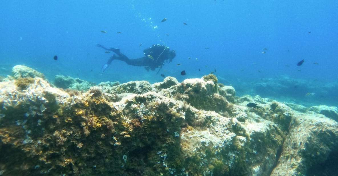 Tenerife: Puerto Colon Certified Scuba Dive by Speed Boat - Instructor quality: when the guide makes the difference