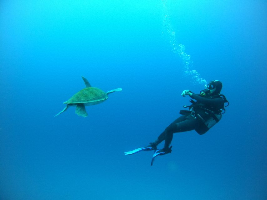 Tenerife: Puerto Colon Certified Scuba Dive by Speed Boat - Gear fitting: wetsuit, BCD, regulator, and a real equipment check
