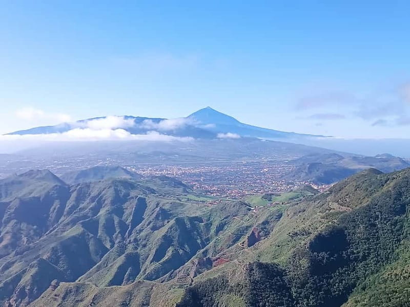 Tenerife-Puerto Cruz: Avatar Hiking, Punta Hidalgo +Cocktail - Key things you’ll love