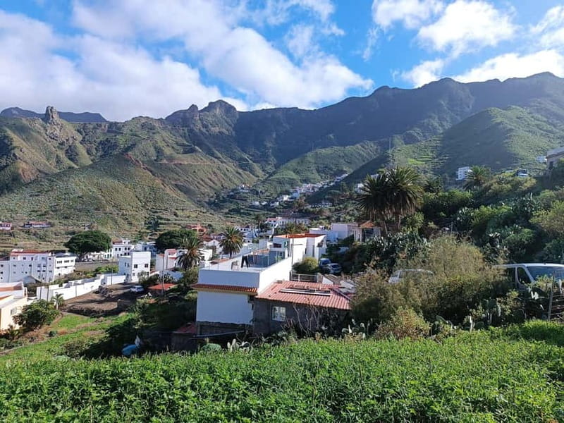 Tenerife-Puerto Cruz: Avatar Hiking, Punta Hidalgo +Cocktail - Should you book this Avatar forest + Punta del Hidalgo tour?