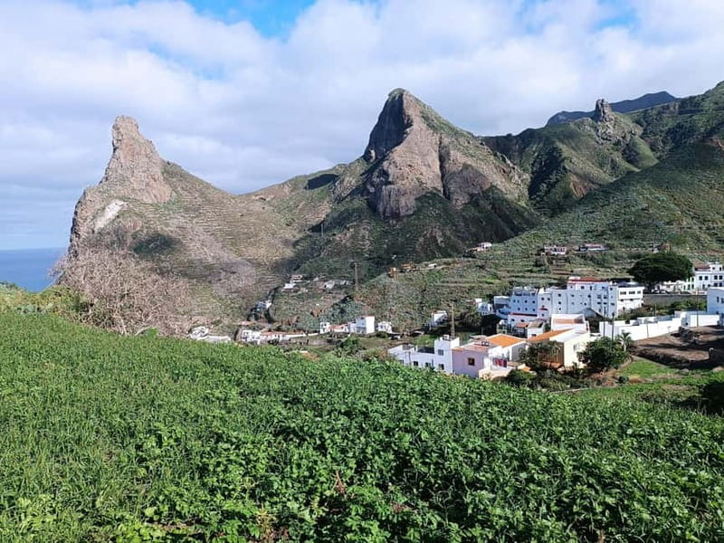 Tenerife-Puerto Cruz: Avatar Hiking, Punta Hidalgo +Cocktail - From Puerto de la Cruz to San Cristóbal: the market morning hits first