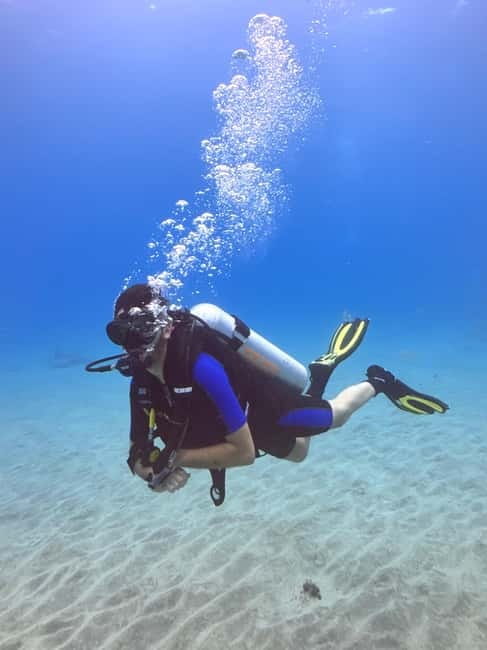 Tenerife: Scuba Dive & Fun, Discover the Magic of the Ocean - Who Leads This: Zeta, Franco, and Claudia