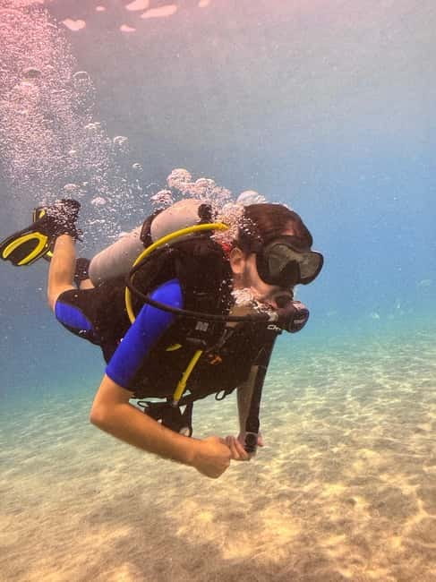 Tenerife: Scuba Dive & Fun, Discover the Magic of the Ocean - Wildlife Viewing Adds a Nice Bonus Moment