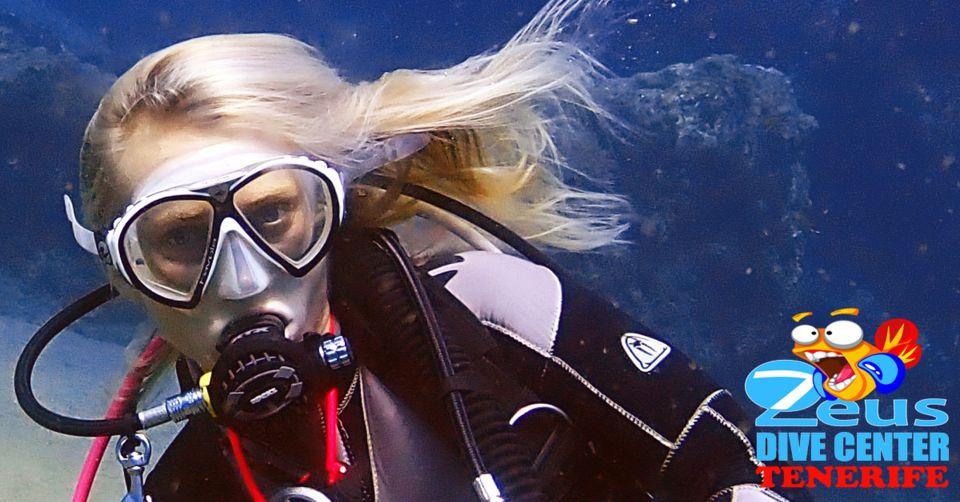 Tenerife Scuba Diving for Certified Divers - Price and value: is $106 fair for two sessions, a guide, and transport?