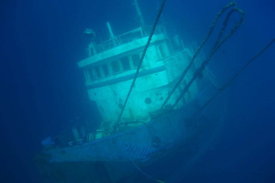 Tenerife Scuba Diving for Certified Divers - What you’re actually exploring: reefs, swim-throughs, and shipwreck options