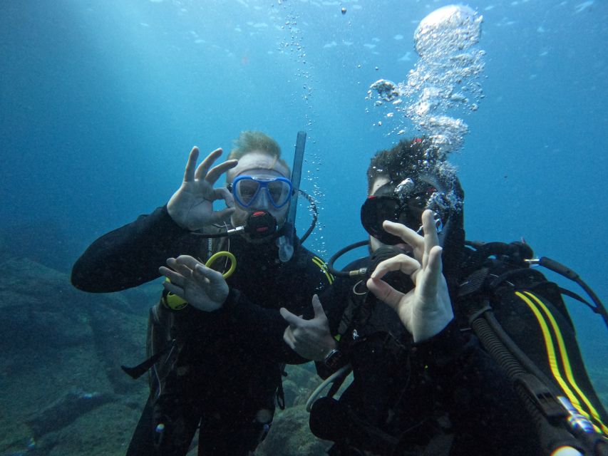 Tenerife: Scuba Diving for Certified Divers in Tenerife - Key Highlights I’d Put on Your Radar