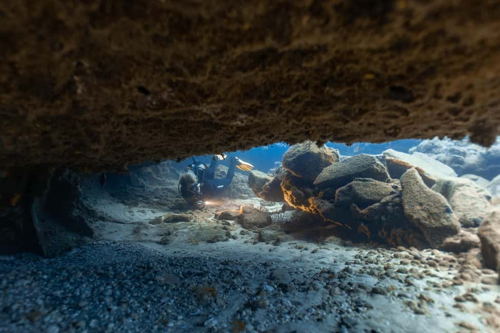 Tenerife: Scuba Diving for Certified Divers in Tenerife - Small Group Size: Up to 10 Means Better Attention