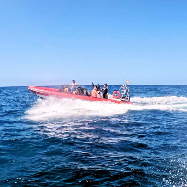 Tenerife: Scuba Diving for Certified Divers in Tenerife - Your Underwater Time: 45 Minutes to See the Best Stuff