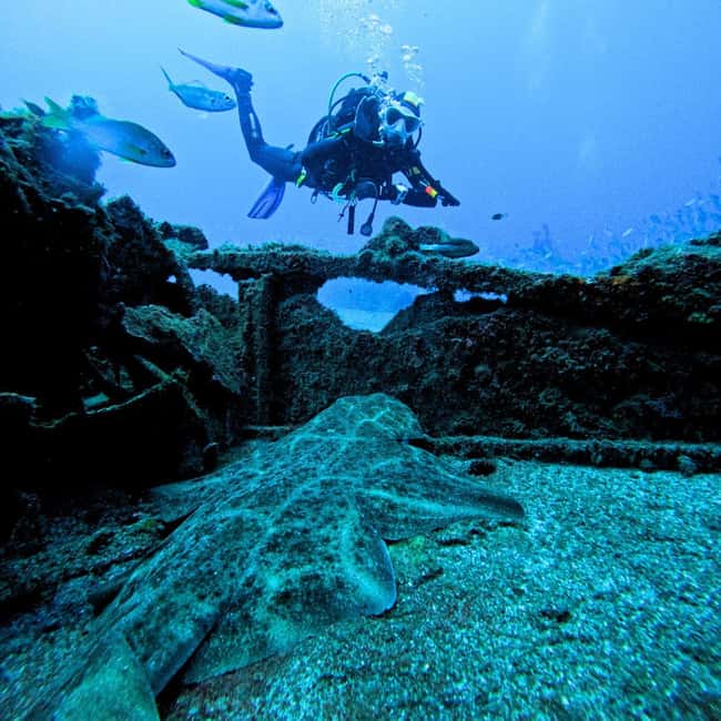 Tenerife: Scuba Diving for Certified Divers in Tenerife - Equipment and Tank Details: What You Actually Get