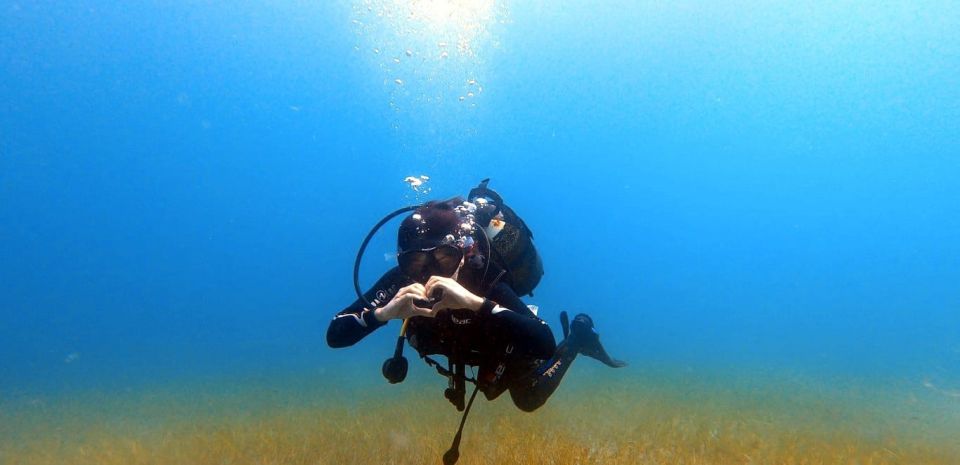 Tenerife: Scuba Diving Lesson and Abades Protected Area Dive - Practical booking tips that help you enjoy the day