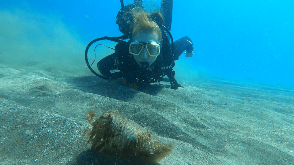 Tenerife: Scuba Diving Lesson and Abades Protected Area Dive - The 3-hour flow: how the session usually runs