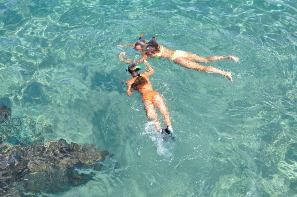 Tenerife: Snorkeling Equipment Rental in Radazul - What’s Included, What’s Not, and What You Should Plan For