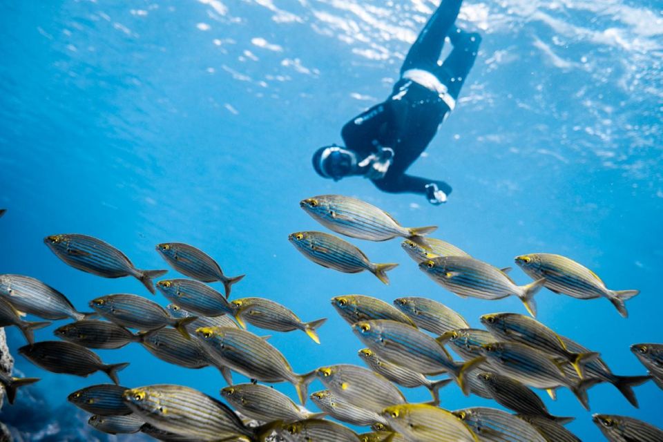 Tenerife : Snorkeling underwater with freediving Instructor - Gear coaching on the wooden platforms: wetsuit, fins, mask, and a weight belt