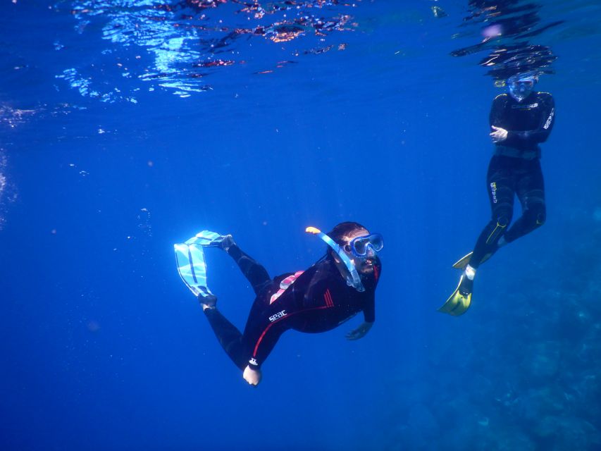 Tenerife : Snorkeling underwater with freediving Instructor - Price check: does $52 for 3 hours feel fair?
