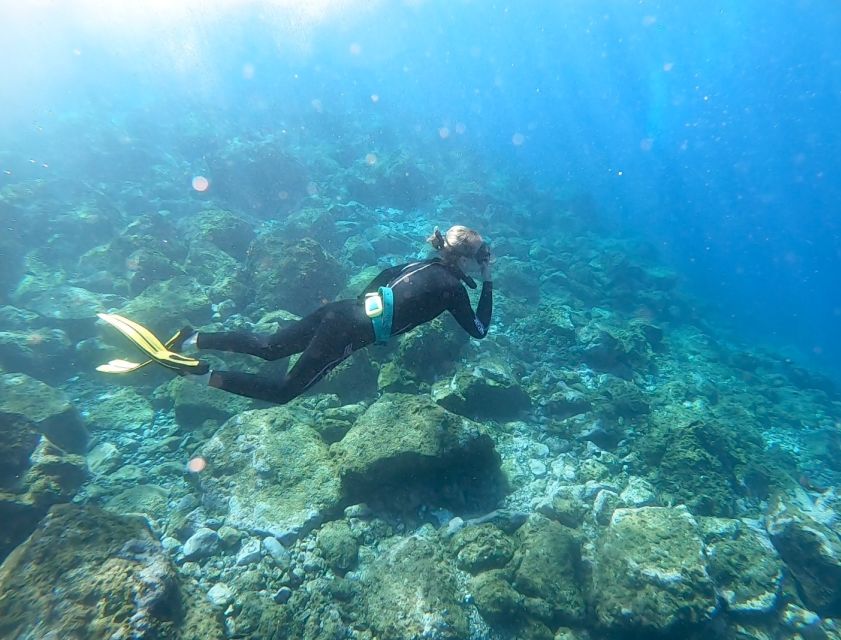 Tenerife : Snorkeling underwater with freediving Instructor - Who should book this Tenerife snorkeling class (and who might skip it)