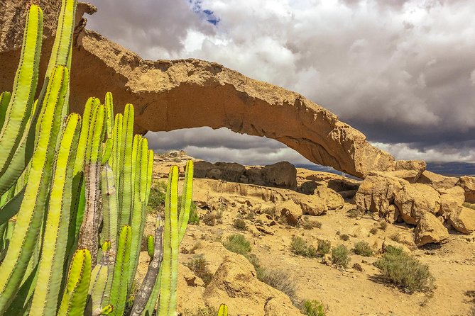 Tenerife South Private Tour: Secrets of the Volcanoes - South Tenerife Volcanoes, Explained in a Way That Feels Useful