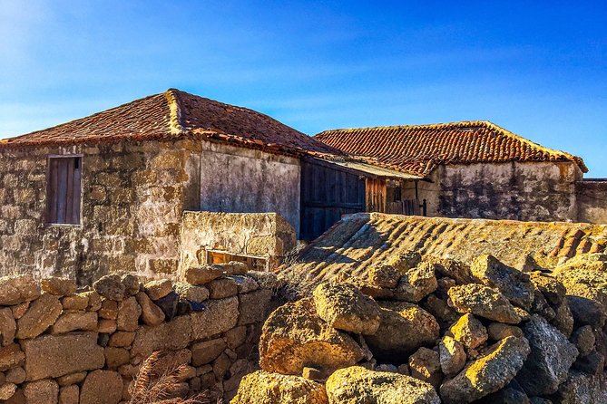Tenerife South Private Tour: Secrets of the Volcanoes - Stop 3: San Miguel de Abona—Plains, Cones, and Shifting Ecosystems