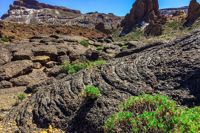 Tenerife South Private Tour: Secrets of the Volcanoes - The Guide Makes the Difference: Licensed, Personal, and Geology-First