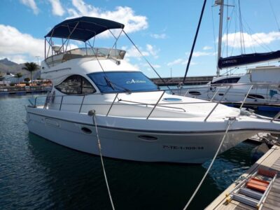Tenerife south: safari with luxury boat , animals encounters - Getting there: Las Gallets pickup and the van ride before the cruise