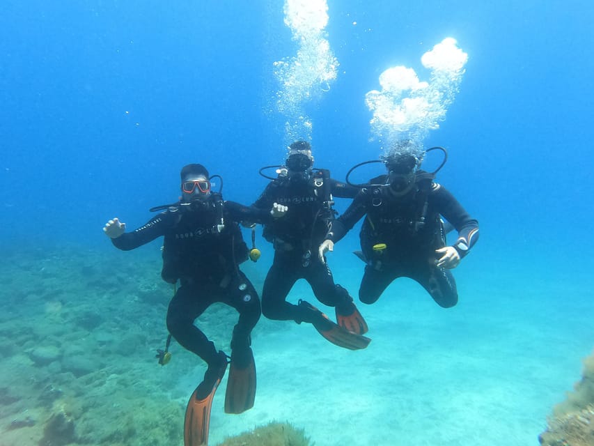 Tenerife south: Scuba Dive for beginners in Adeje - What’s included for $100: where the value really comes from