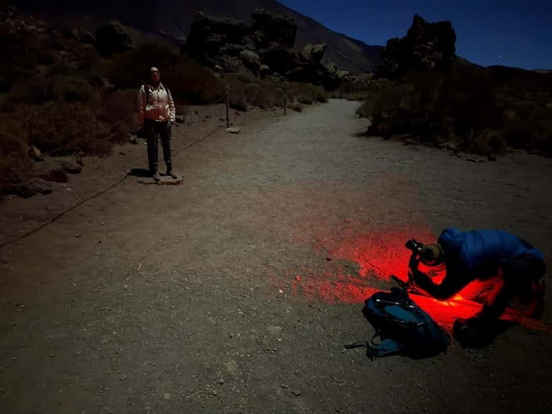 Tenerife: Stargazing Walk in Teide National Park - Teide After Dark: What You’re Really Buying