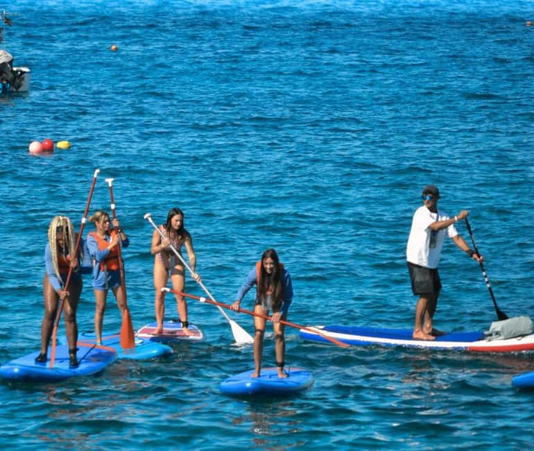 TENERIFE SUR: Paddleboarding tour and SNORKEL - Key Things to Know Before You Go