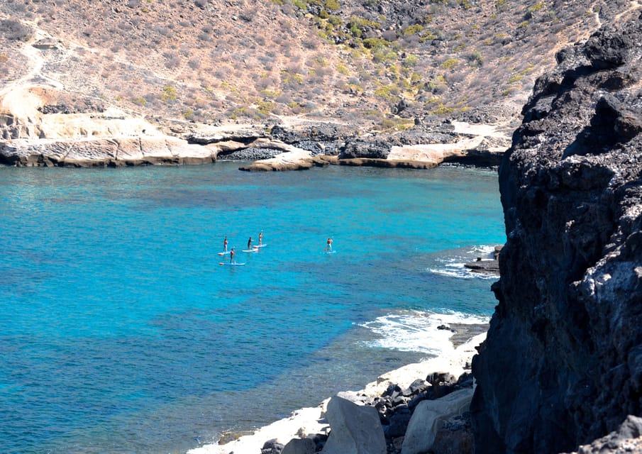 TENERIFE SUR: Paddleboarding tour and SNORKEL - The Snorkel Moment: Goggles Are There When Conditions Cooperate