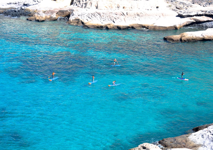 TENERIFE SUR: Paddleboarding tour and SNORKEL - Tips to Make Your SUP Day Feel Smooth