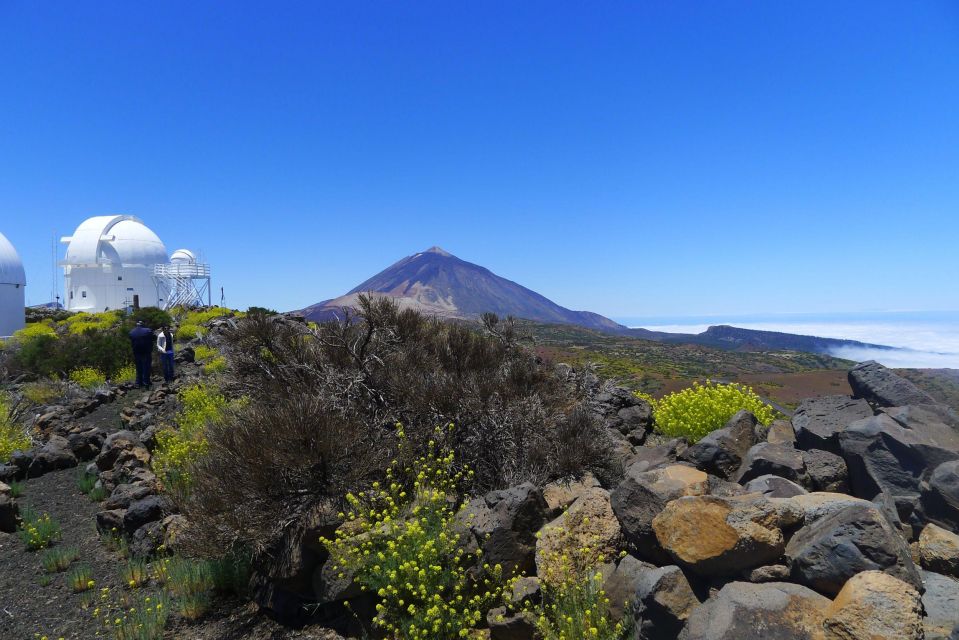 Tenerife: Teide and Stars - Stargazing with Long-Range Telescopes and Starlight Guides