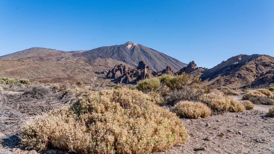 Tenerife : Teide Hiking - Flora and the small stuff: why this hike works even without long distances