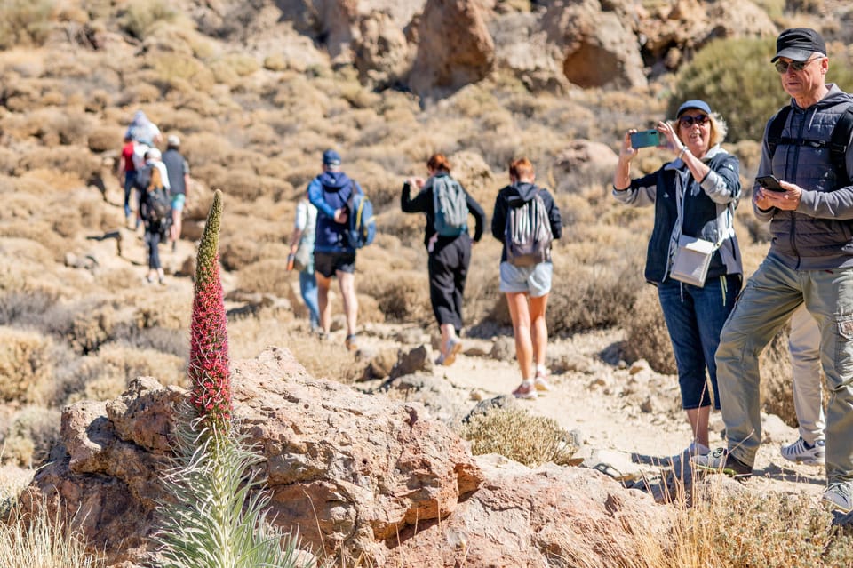 Tenerife : Teide Hiking - Group size and hike readiness: a realistic check-in