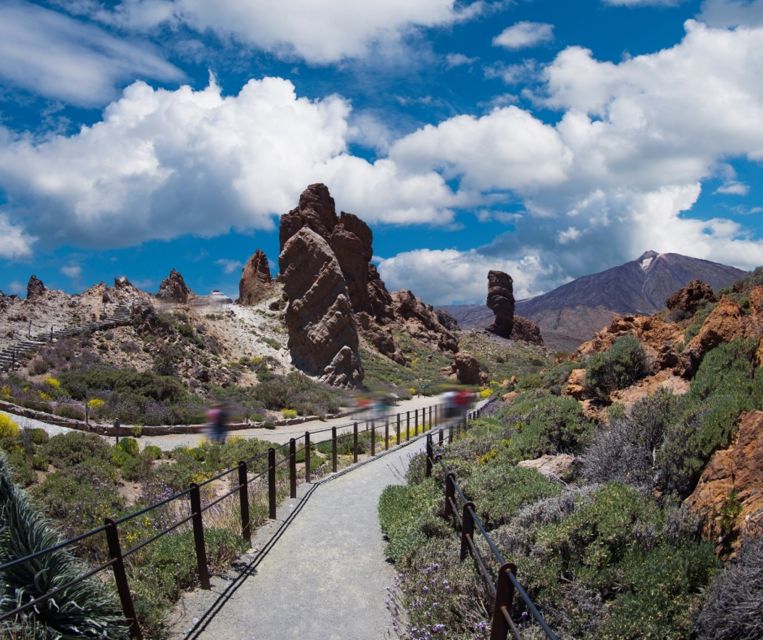 Tenerife: Teide National Park and Dolphins Sailboat Tour - Who this tour is best for