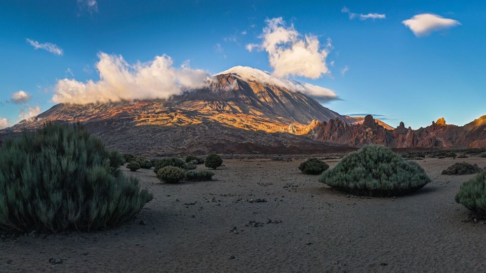 Tenerife: Teide National Park and Dolphins Sailboat Tour - Why this Tenerife combo works: volcano first, sea second