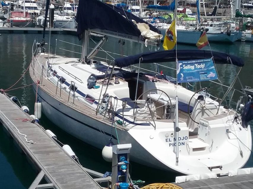 Tenerife: Teide National Park and Dolphins Sailboat Tour - Heading to the south coast: boarding a small catamaran