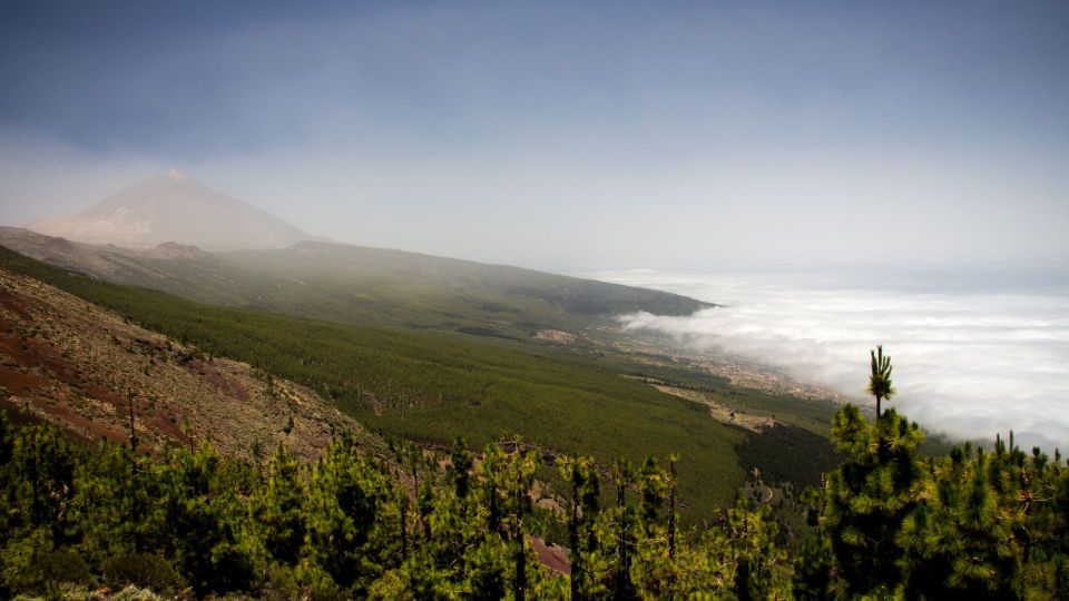 Tenerife: Teide National Park and Dolphins Sailboat Tour - Practical tips to make the day smoother