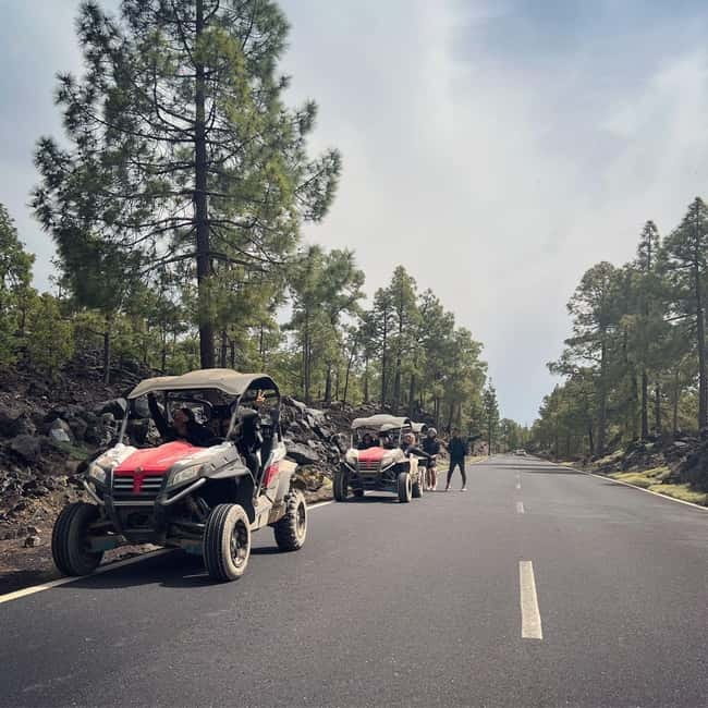 Tenerife: Teide National Park and Volcano Buggy Tour - Why a buggy works better than a bus for Teide country