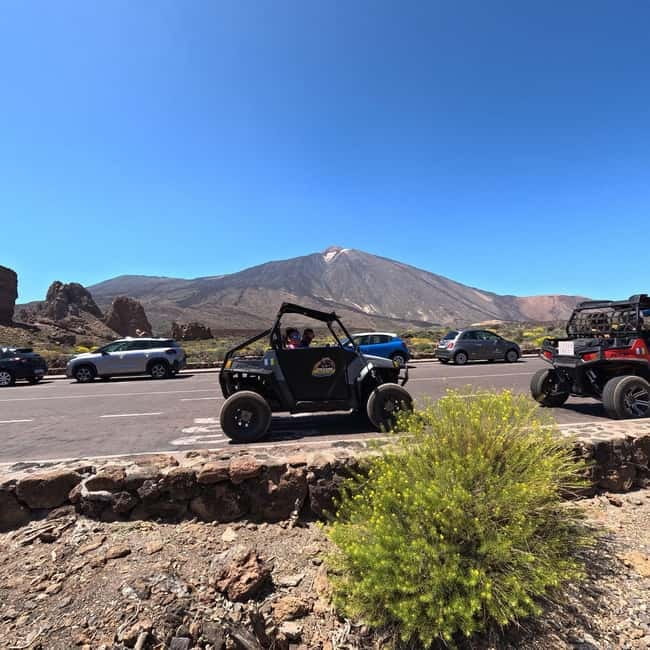 Tenerife: Teide National Park and Volcano Buggy Tour - From pine forests to raw volcanic terrain near Teide